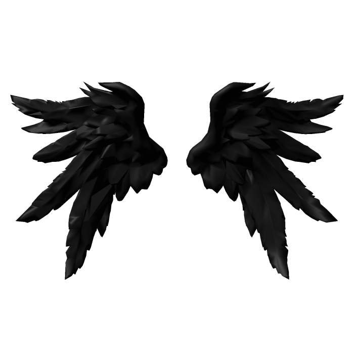 Huge Black Angel Wings