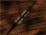 elightened shinobi