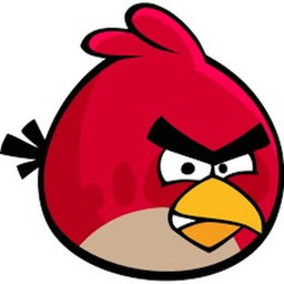 Welcome to Amsterbird!!!