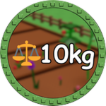 10kg Fruit!