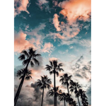 Aesthetic I guess fan Group