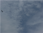 WW2 heroes on roblox