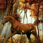 |*:.Maple-Leaves.:*|