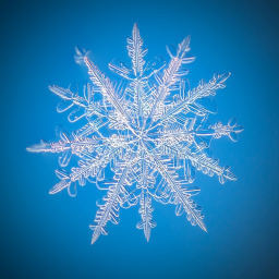 Snow Flakes Cheer Team Gym