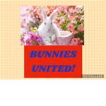 Bunnies United! :)