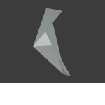 Krotton Studio