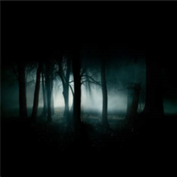 🌲The Forest🌲 [In Development]