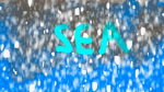 seas epic group