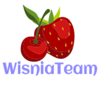 WisniaTeam