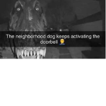 ohiopoop