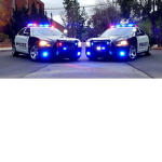 Lapd boys