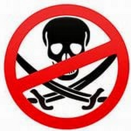 Roblox's Anti Piracy Screen (Fan Made)