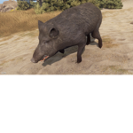 ThatVersonix20