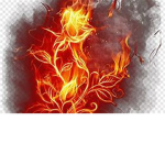 PremuimHeats Fan Club