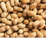 Peanut Brain Group