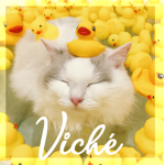 Viché