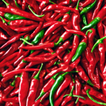 chilli club studio