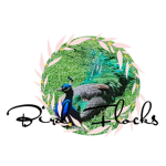 Bird flocks