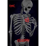 sync.