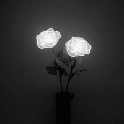 Black and white flowers (Aesthetic) Roblox decal