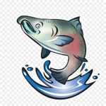 Salmons United