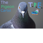 The Pigeon Cartel.
