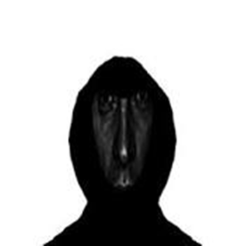 Mandela Catalog Intruder