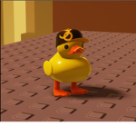 The Fighting Ducks