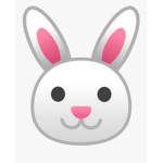 Bunny Group only bunny’s can join