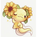 Axolotl party plays