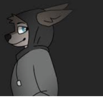 Hooded furs