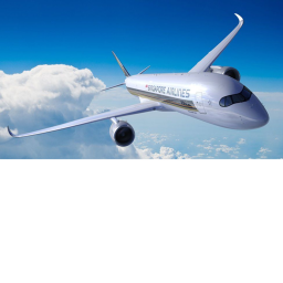 Airport Flight Roblox Rp