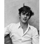 mr harry styles