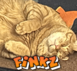 Finkz