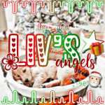 - livy’s angels -