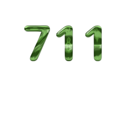 711 Day