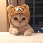 Hang Out Gc For Freinds!