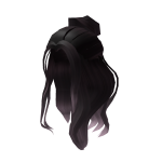 Dark Ombre Half Up Bun