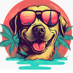 beachsidegamers