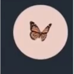 Monarch Butterfly Group