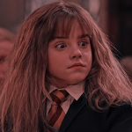 ~Chamber of SECRETS~