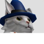 Cat wizard gang