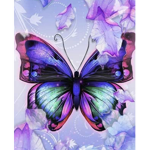 ッThe Butterfliesッ