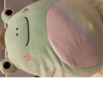 Teen squishmallows