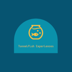 Tunnelfish Experiences