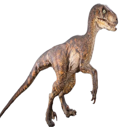 Raptor