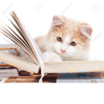 Cat Academy <3