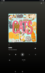 Cat GameCircle