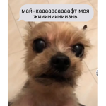 Family Де Би л о к