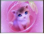 Luna the kitten sis